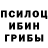 Героин хмурый Alla Honcharova