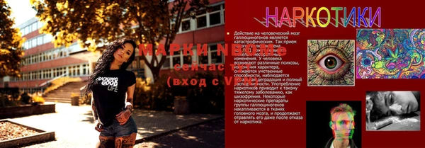 амф Аркадак