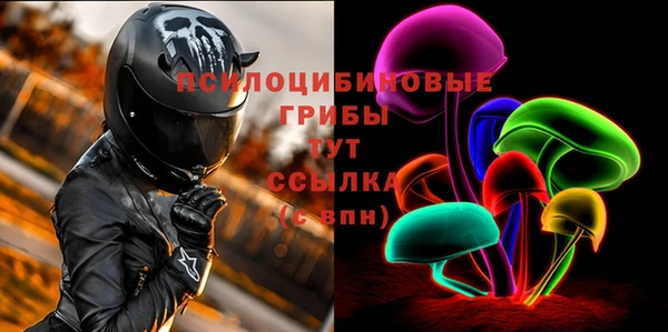 2c-b Алзамай