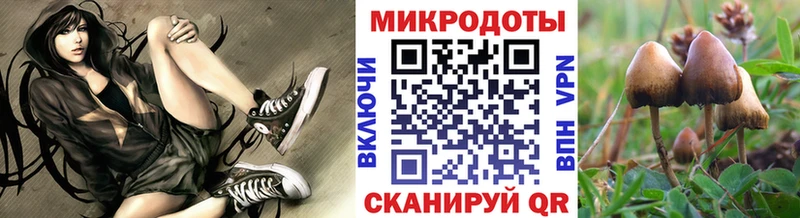 Галлюциногенные грибы Cubensis Купить Верхний Тагил